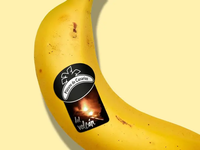 Agr Food Marketing, activamente con el sector del plátano de Canarias